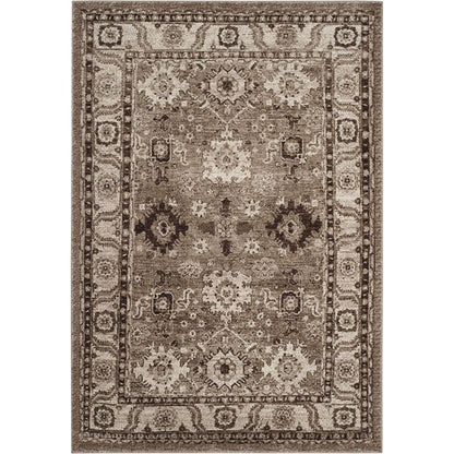 Non-Shedding Taupe Oriental Persian Traditional Design Area Rug